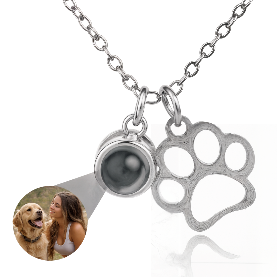 Lumipaw™ Collar de Proyección Personalizado