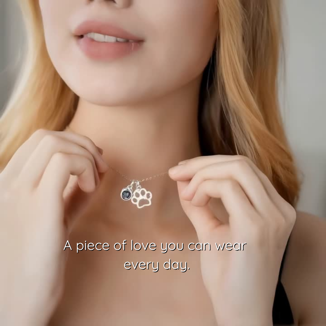 Lumipaw™ Collar de Proyección Personalizado