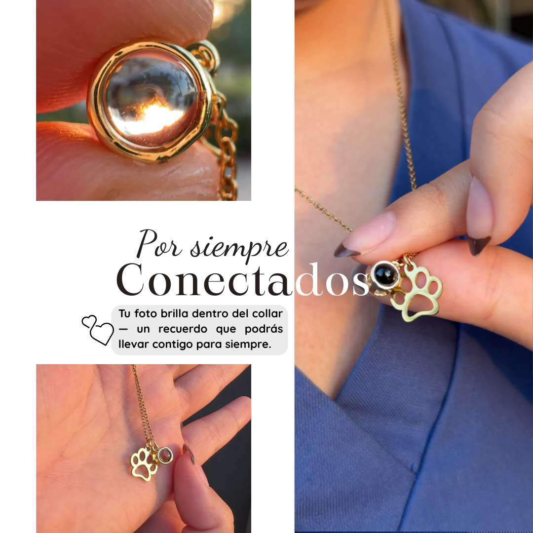 Lumipaw™ Collar de Proyección Personalizado