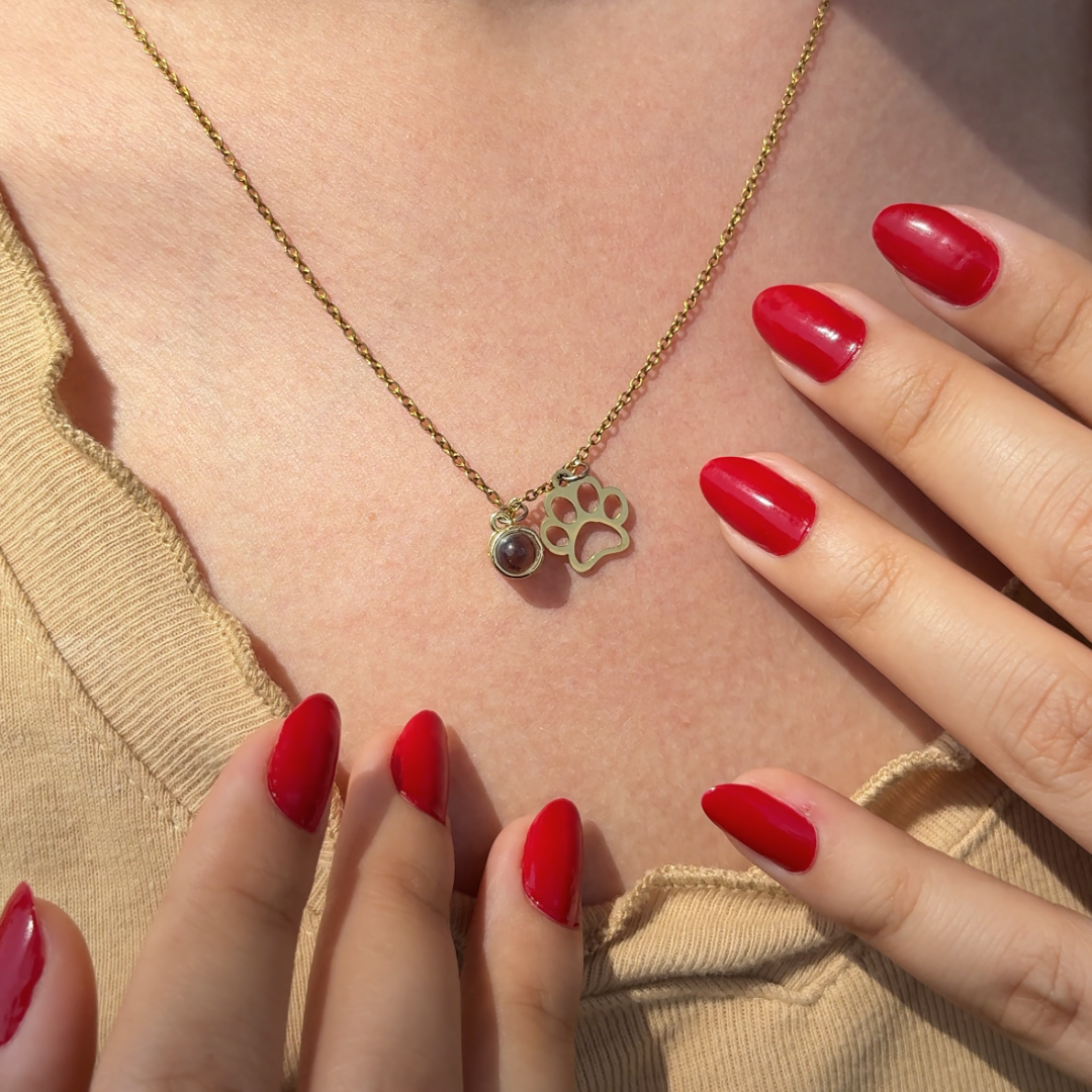 Lumipaw™ Collar de Proyección Personalizado