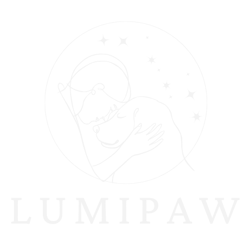 lumipaw.de